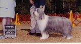 Gidget.jpg image by lmarkle