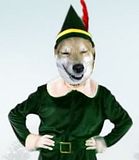 elf.jpg image by CharRob